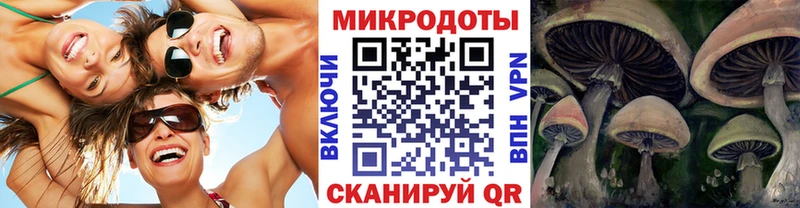 Купить  Себеж  Галлюциногенные грибы Magic Shrooms 