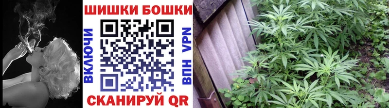 Купить закладки  Себеж  МАРИХУАНА SATIVA & INDICA 